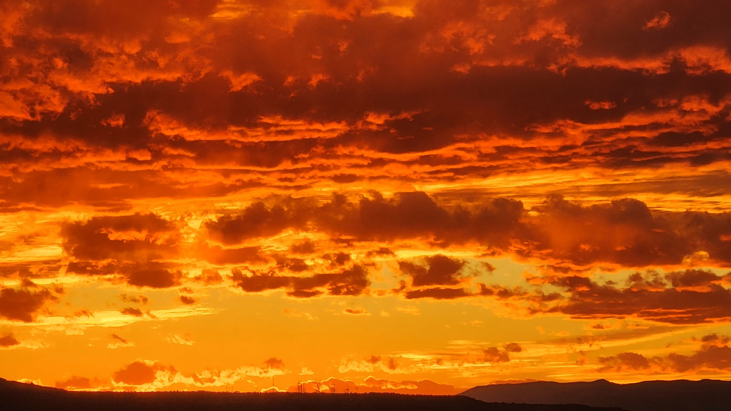 Color-red-dough .5 gram